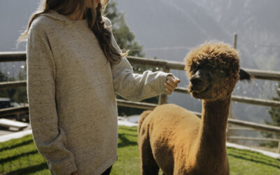 Paka Apparel: Friend to People, Animals, and the Planet
